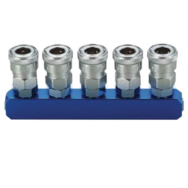 THB MANIFOLD 5 WAY WITH STANDARD COUPLERS 
